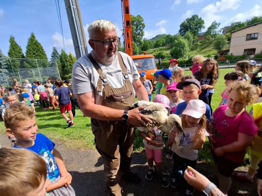 Kroužkování čápů