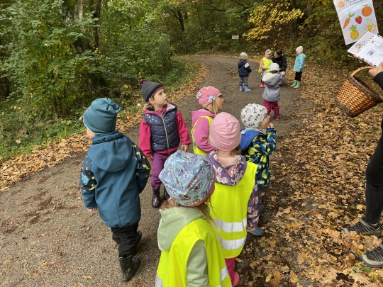 Hledání barev podzimu - výprava do přírody